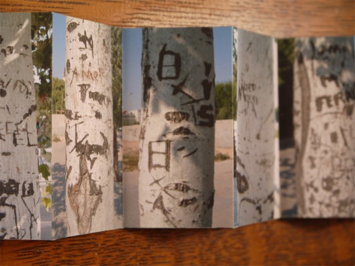 White Poplars - John Dilnot (5)
